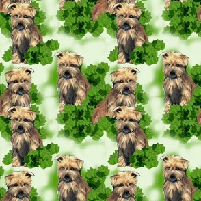 norfolk_terrier_seamless_pattern