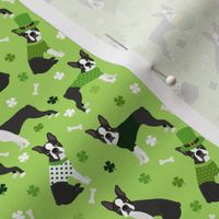 St. Patrick's Day Boston Terrier Small Scale