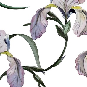 Iris watercolor fabric design