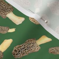 Morel Scatter Green