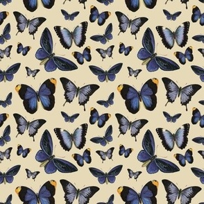 Butterflies (Blue and Yellow)