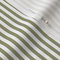 Candy Stripe Olive Green On White