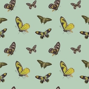 Butterflies (Grey & Green)