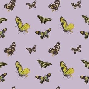 Butterflies (Grey & Purple)