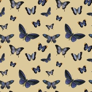 Butterflies (Blue & Yellow) Alt