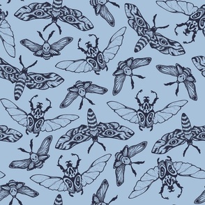 (large) Beetles and moths light blue