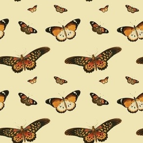 Butterflies (Orange)