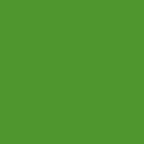 Plain Bright Pear Green Solid - #4D952C