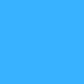 Plain Bright Turquoise Blue Solid - Bright Baby Blue - #38B1FF