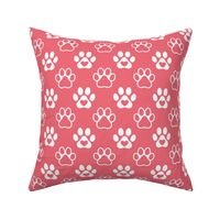 Bigger Scale Paw Prints White on Watermelon Pink