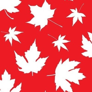 Canada Day Maple Leaves in Red and White