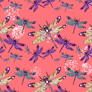 Beautiful dragonflies with swirls on coral 