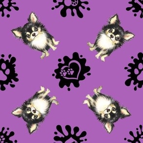 Puppy Love 2 Chihuahua Purple