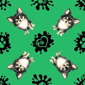 Puppy Love 2 Chihuahua Green