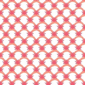 Peachy Lattice with Coral Agave 