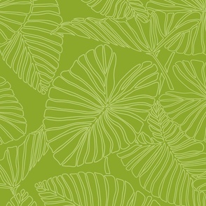 Kalo Leaves green