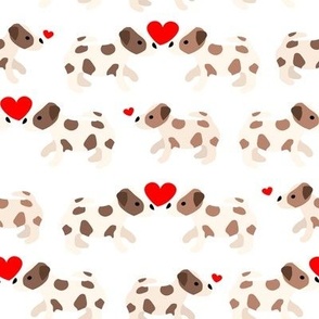 Jack Russell Terrier  with hearts 1