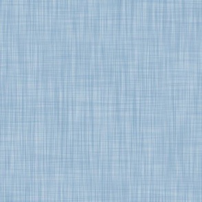 Simpatico Blue  - Textured Solid Coordinate
