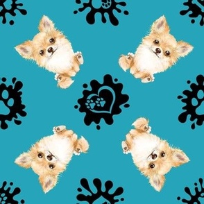 Puppy Love 5 Chihuahua Teal