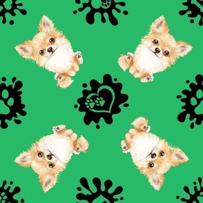 Puppy Love 5 Chihuahua Green