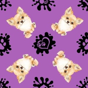 Puppy Love 5 Chihuahua Purple