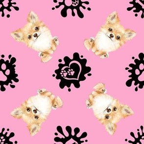 Puppy Love 5 Chihuahua Pink