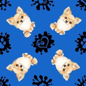 Puppy Love 5 Chihuahua Blue