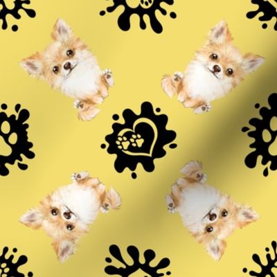 Puppy Love 5 Chihuahua Yellow