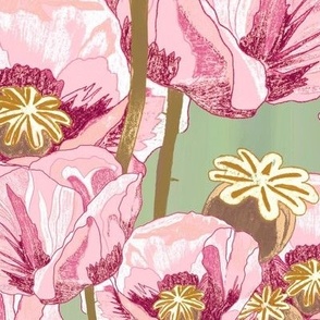 Pink poppies