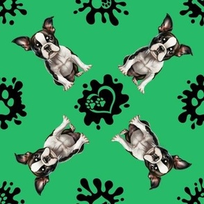 Puppy Love 9 Boston Terrier Green