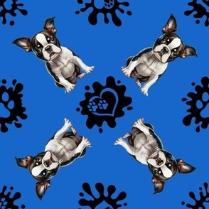 Puppy Love 9 Boston Terrier Blue