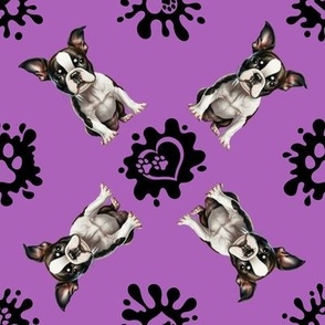 Puppy Love 9 Boston Terrier Purple