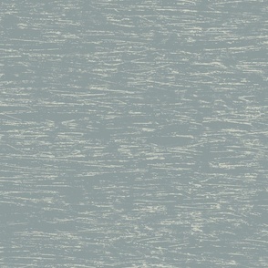 Scoured Gray Texture