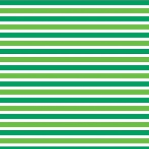 Multicolor Green Stripes