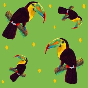 Lime Green Toucans