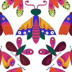 Multi colour butterflies 