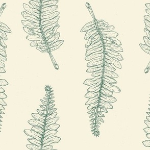 Ferns Stamped On Off-White Spanish Moss Tones