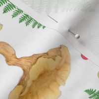 Moths Mushrooms And Ferns Botanical Print