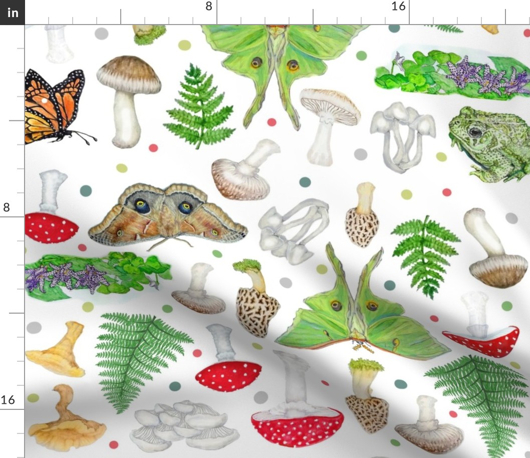 Moths Mushrooms And Ferns Botanical Print