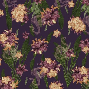 Peach And Eggplant Fabric, Wallpaper and Home Decor