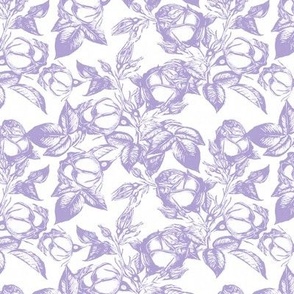 Toile Rose Garden - in Digital Lavender - Coordinate