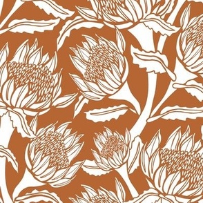 Waratah Rhapsody Tan & Ivory