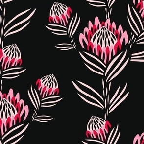 Black and Pink Proteas