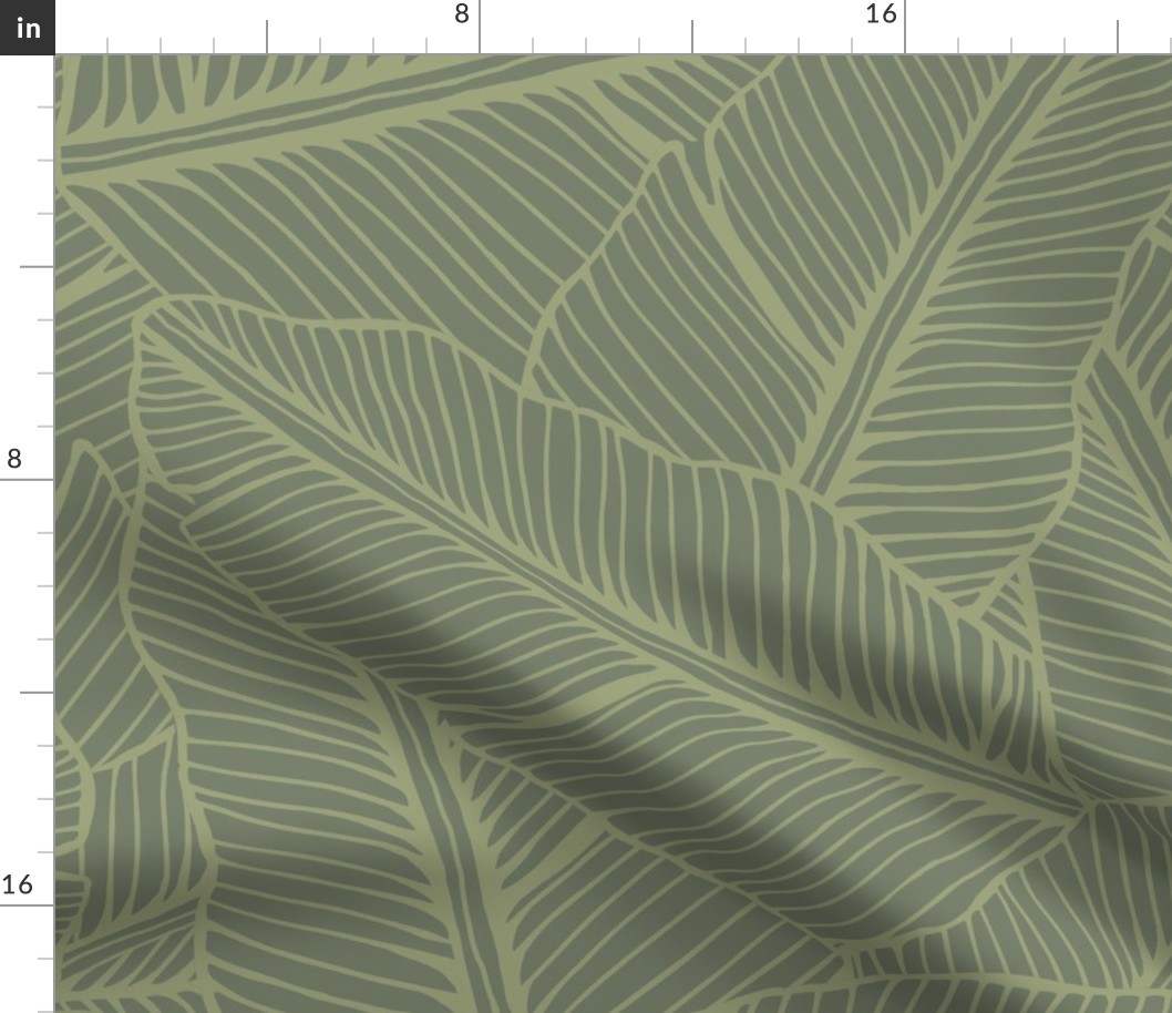 banana leaves pale neutral green 24 x 24 for wallpaper