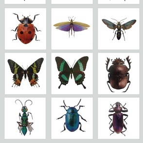 Insect Tiles