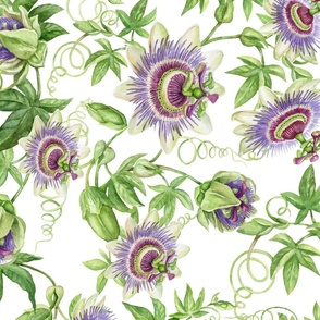 21"Exotic Watercolor Hand Painted Wildest Passionflowers Meadow-  white-      for home decor Baby Girl and tropical nursery fabric perfect for kidsroom wallpaper,kids room