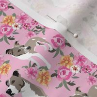 Luna Pitbull Dog Pink florals  