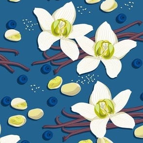 White vanilla flowers with pods and blueberries on a blue background