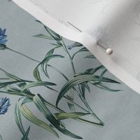 CORNFLOWER ARRAY SMALL -  RED PEONY COLLECTION (WEDGEWOOD LINEN)