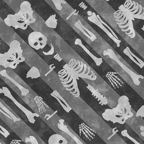 skeleton diagonal stripe grey and black 
